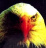 EAGLEYE